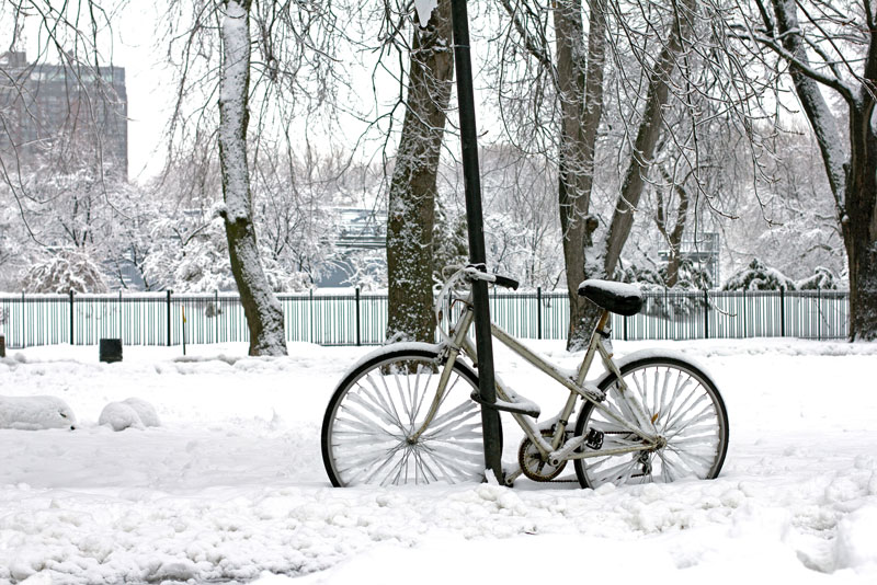 Tips voor het fietsen: zo kun je veilig, comfortabel en efficiënt op weg